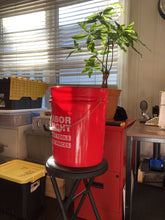 Load image into Gallery viewer, Original Fucket Bucket - 5 Gallon Bucket