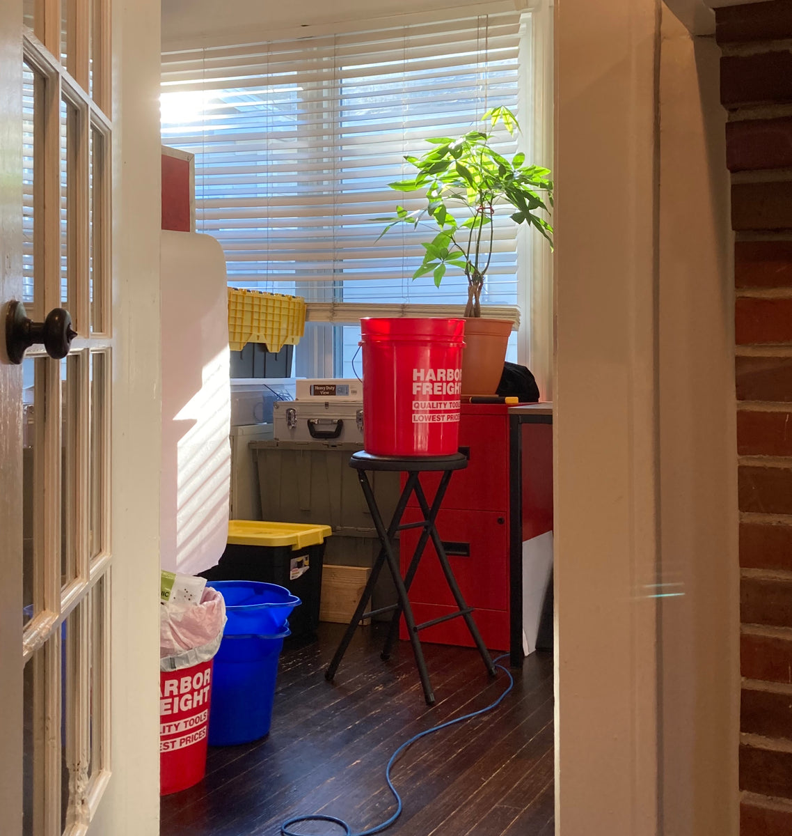 Fucket Bucket in glorious repose